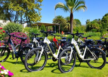 electric bikes for sale